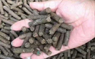 水果渣越來越受歡迎，因為它的出現(xiàn)—生物質(zhì)顆粒機(jī)設(shè)備