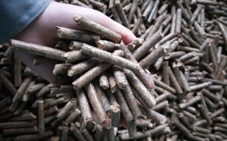 鋸末顆粒機顆粒，一種快速增長的能源載體