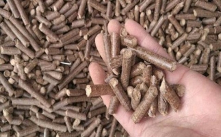 鋸末顆粒機生物質燃料與燃煤對比情況如何？