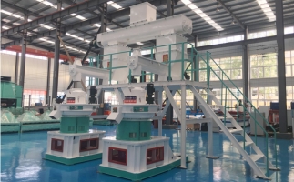 木屑顆粒機多少錢一臺?建顆粒廠大約多少錢？