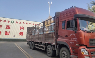 忙碌的五月，忙碌的發(fā)貨，金格瑞顆粒機(jī)生產(chǎn)線發(fā)往全國(guó)各地