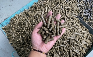 木屑顆粒機廠家告訴你生物質(zhì)顆粒燃料燃燒不充分的問題，該如何解決?