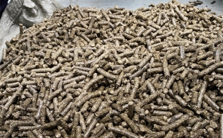 為什么很多人想了解木屑顆粒機加工的燃料顆粒作用？