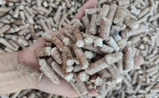 木材加工廠木屑堆積如山，環(huán)保部門令趕緊處理怎么辦？有它就夠了