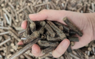 煤炭熱值那么高，為什么還要燒鋸末顆粒機(jī)的生物質(zhì)顆粒燃料？